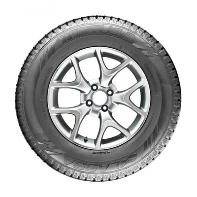 Lassa Wintus 2 205/65R16C 107/105R M+S 3PMSF 8PR