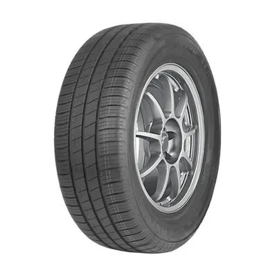 Goodyear Efficientgrip Performance 205/55R17 91V