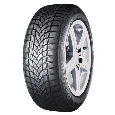 Dayton DW510E 205/55R16 91H M+S 3PMSF