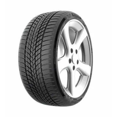 Funtoma RoadFun Winter 205/65R15 94T M+S 3PMSF