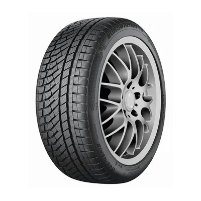 Falken Eurowinter HS02 Pro 225/55R16 99V XL M+S 3PMSF
