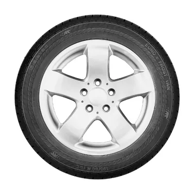 Gislaved Euro Frost Van 205/65R16C 107/105T 103T M+S 3PMSF 8PR